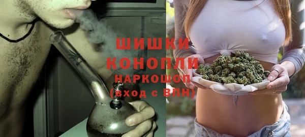 мдпв Володарск