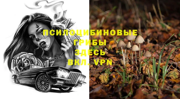 мдпв Володарск