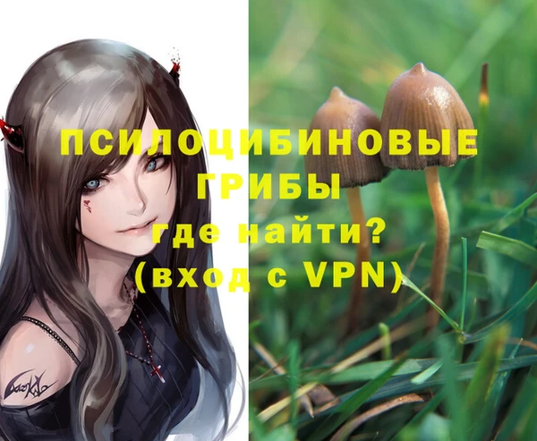 мдпв Володарск