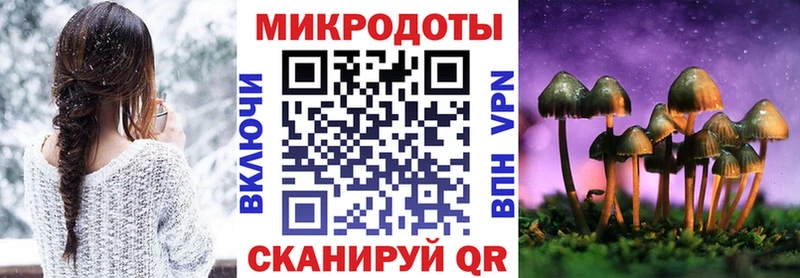 даркнет сайт  Курган  Псилоцибиновые грибы Cubensis 